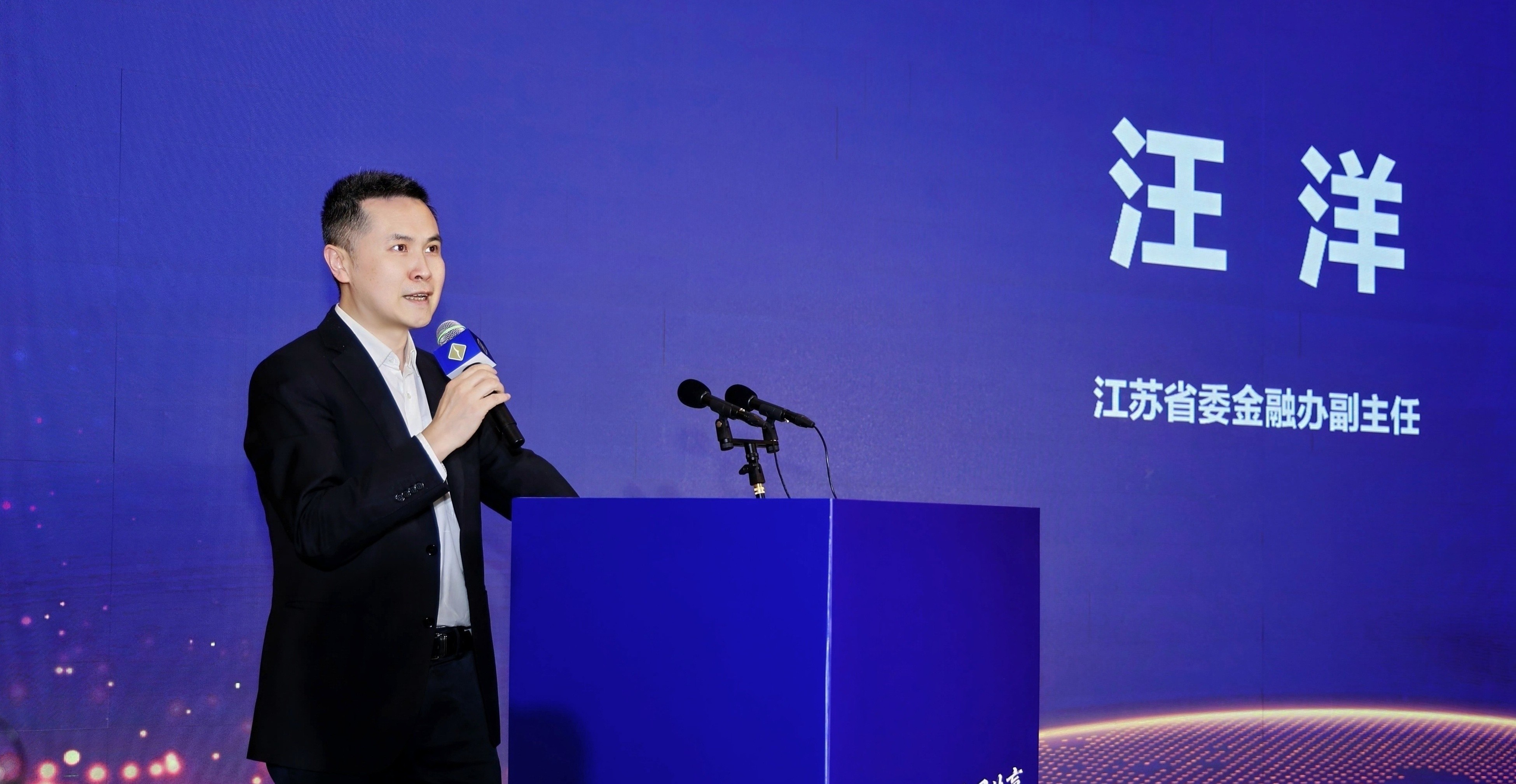 江苏省委金融办副主任汪洋.jpg 江苏省委金融办副主任汪洋.jpg